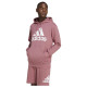 Adidas Ανδρικό φούτερ Essentials Big Logo French Terry Hoodie